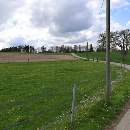 Ferienwohnung Hippenhof Hohenfels  Bagian luar foto